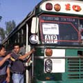 211 buses darán transporte gratuito en elecciones del 2009