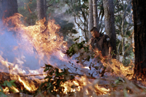 Incendios en Chalatenango y San Vicente consumen bosques