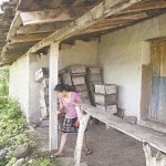 morazan5