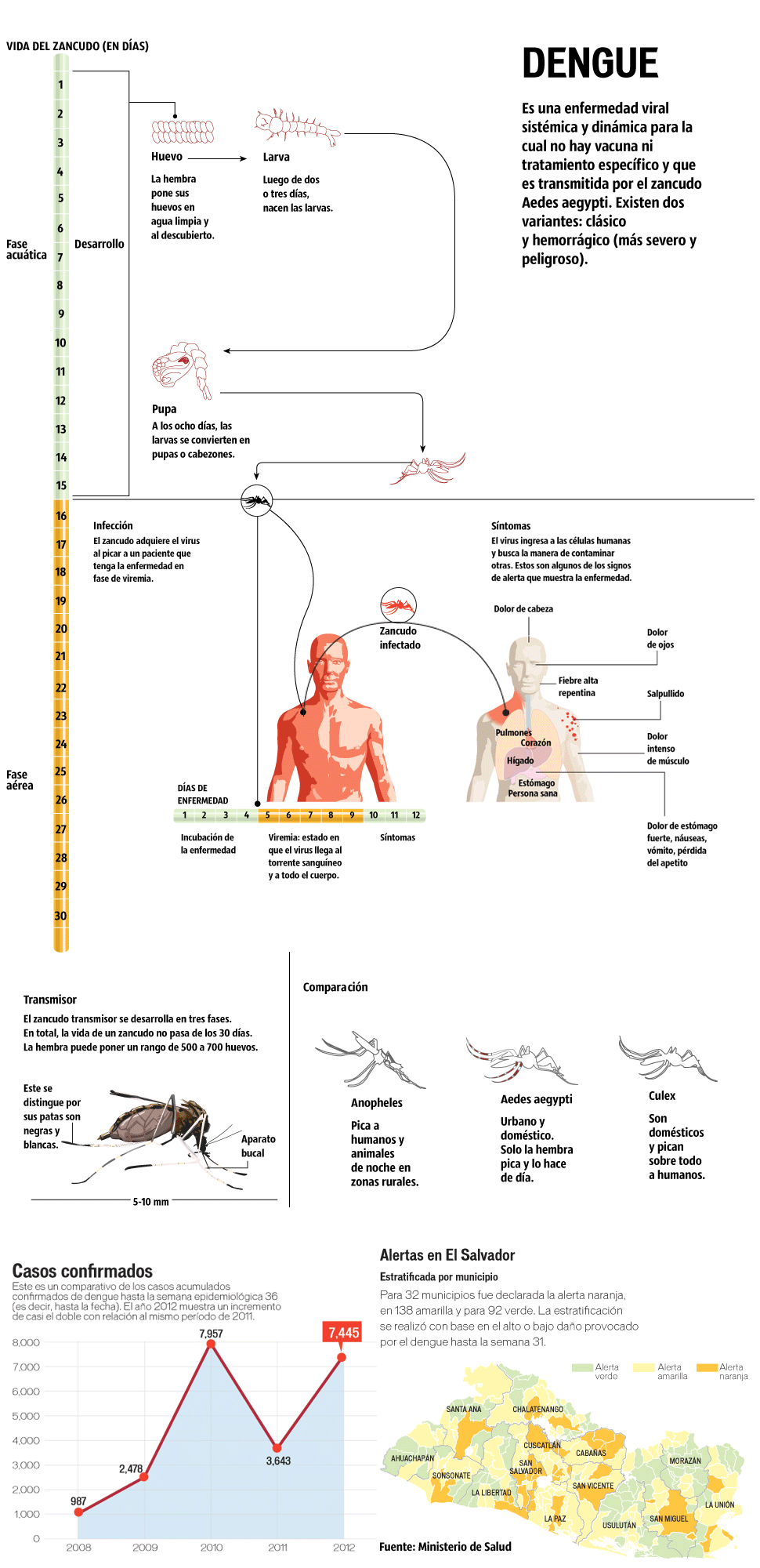 Gráfico dengue