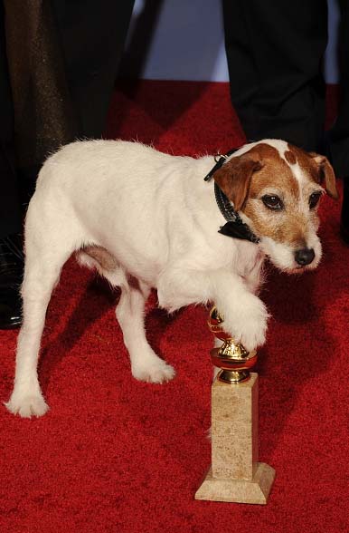 Uggie de The Artist