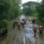 En octubre de 2011, El Salvador sufrió el paso de la tormenta Tropical 12-E, una lluvia de 10 días consecutivos que dejó pérdidas por un monto de $1,968 millones.
