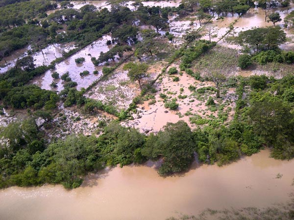 Pese a que afectó otros países centroamericanos, El Salvador fue el que resultó mayormente afectado tras el paso de la tormenta tropical 12-E, que registró pérdidas en los rubros de agricultura y red vial por un monto de $ 840 millones.
